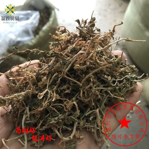 为景天科植物垂盆草的干燥全草.