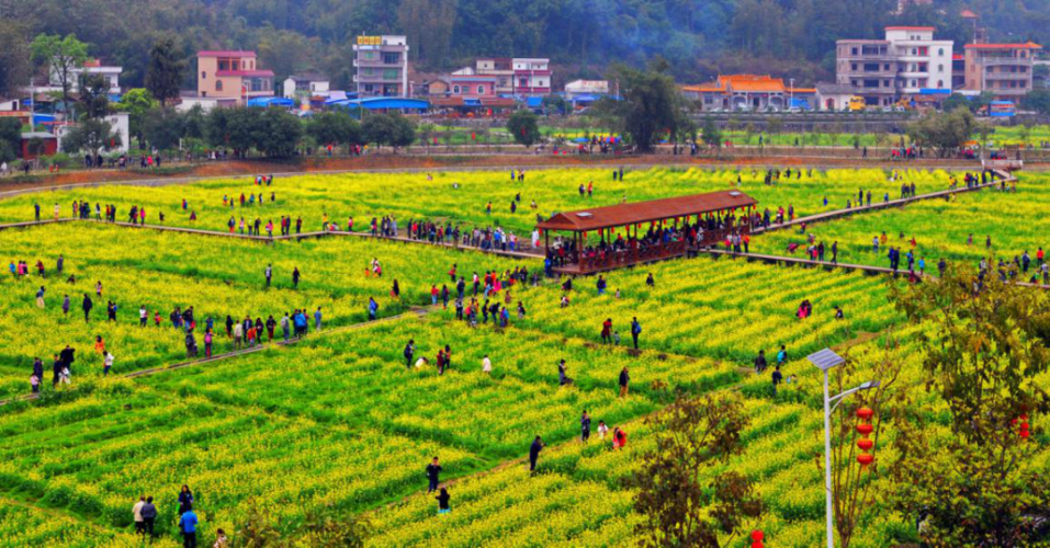 这个镇入选第二批广东省旅游风情小镇!