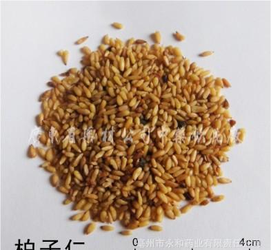 中药饮片 柏子仁