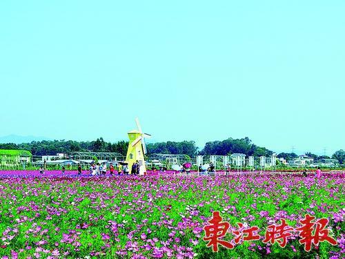 每到周末和节假日,位于惠城水口的海纳现代农业生态园
