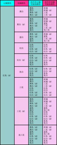 猫咪繁育配色表3纯色公与双色母或三花