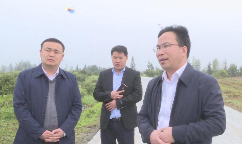 贵州望谟县县长何正祥率团来通城考察油茶产业发展情况