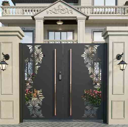 铁艺大门庭院门花园别墅门乡村院子门进户现代简约单双开铁门定制