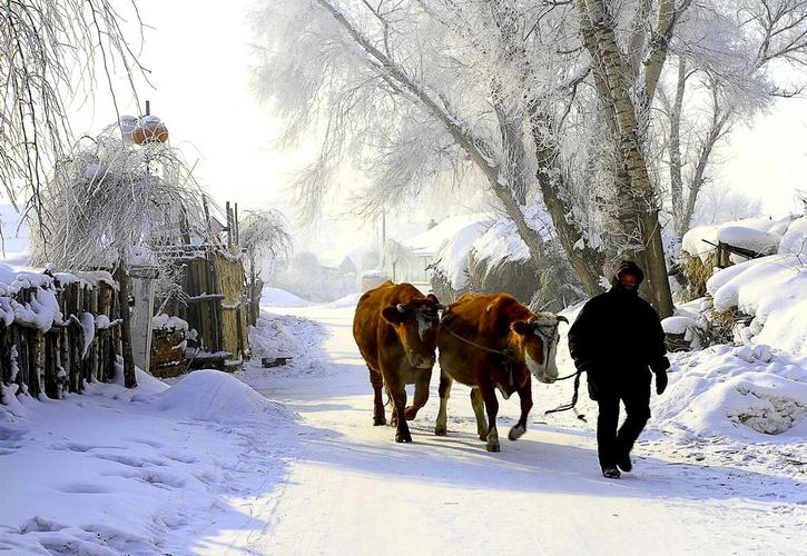 《关东诗人》2016冬季刊目录