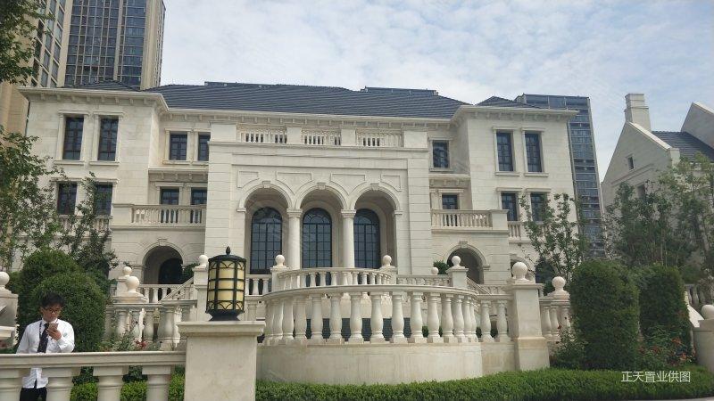 中原八大家 临湖独栋别墅 1200平院子带私家码头送游艇豪车