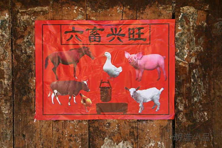 长了回知识,终知六畜所指, 六畜兴旺了,家宅自是吉祥,安康.