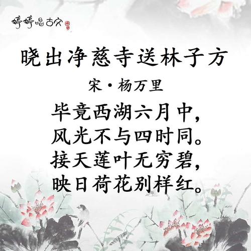 试听90秒唱古诗 17 婷婷唱古文-杨万里-晓出净慈寺送林子方