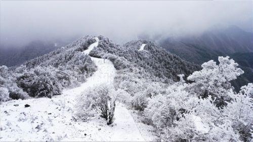 温州之巅白云尖观世纪雪景 "天然氧吧"里吸纯净空气