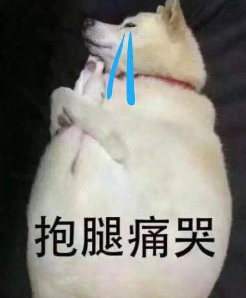 表情包抱腿痛苦