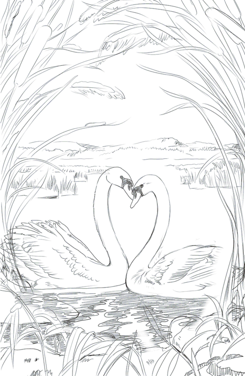 白天鹅 狼的世界 黑天鹅 狼王 涛仔插画 涛仔原创