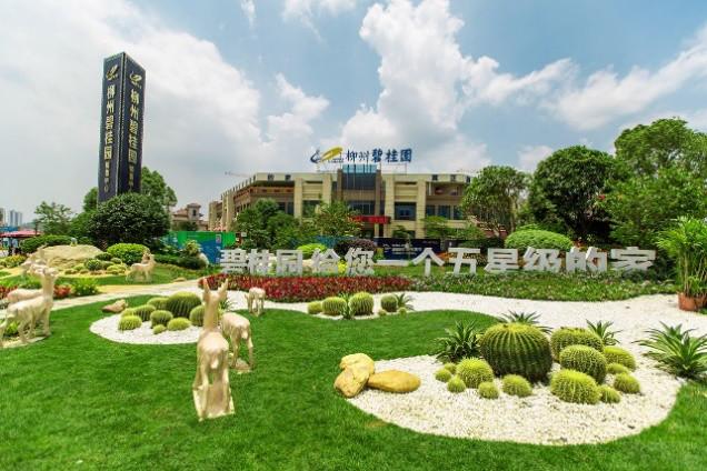 "广厦奖"喜报传来,柳州碧桂园凭什么获奖?