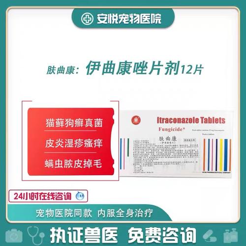肤曲康片猫咪猫藓狗狗皮肤病红斑抗真菌灭药伊曲康唑片猫癣内服药