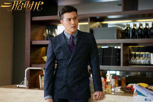 娱乐频道 电视海报剧照 责编:萝卜                陈亦飞《二胎时代