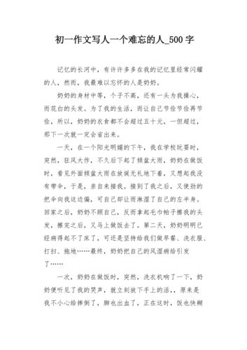 初一作文写人一个难忘的人500字