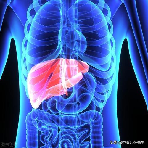 左肝右肺不是解剖部位而是体现脏气的运行方向