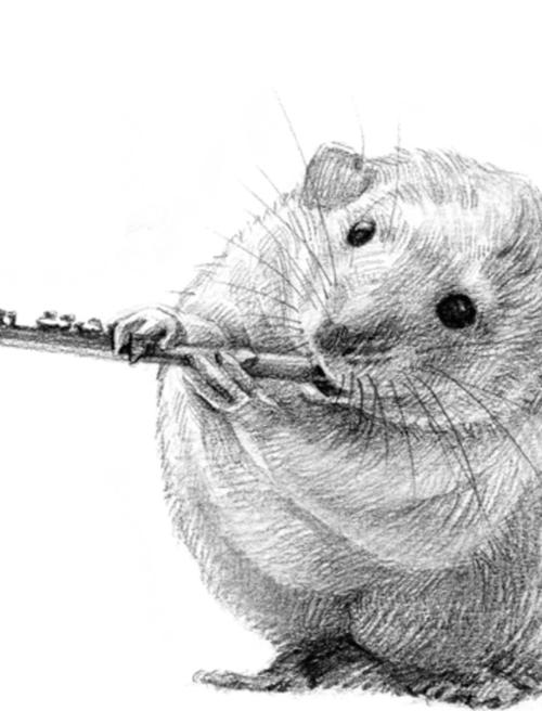 老鼠-素描图集