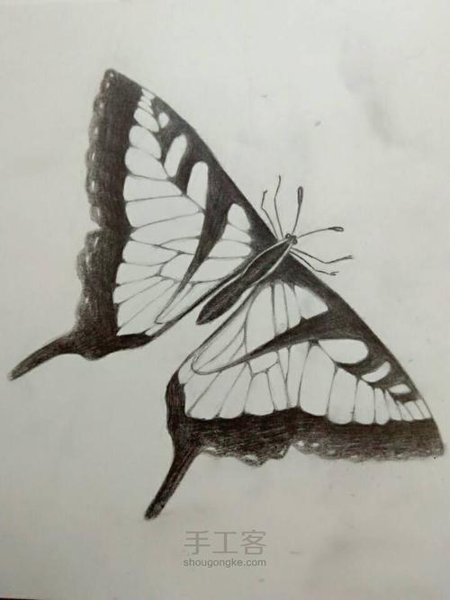 手绘素描图片 素描图片大全简单漂亮_手绘素描图片