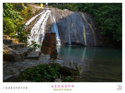 漓江古东森林瀑布群