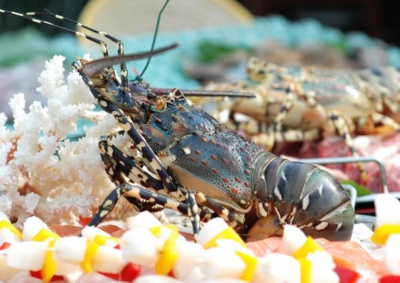 22.富饶的西沙群岛补充资料之二