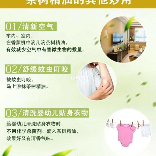 茶树精油妙用之二_茶树精油_杀菌_内裤_内衣_驱蚊_头皮屑_夏天去哪玩