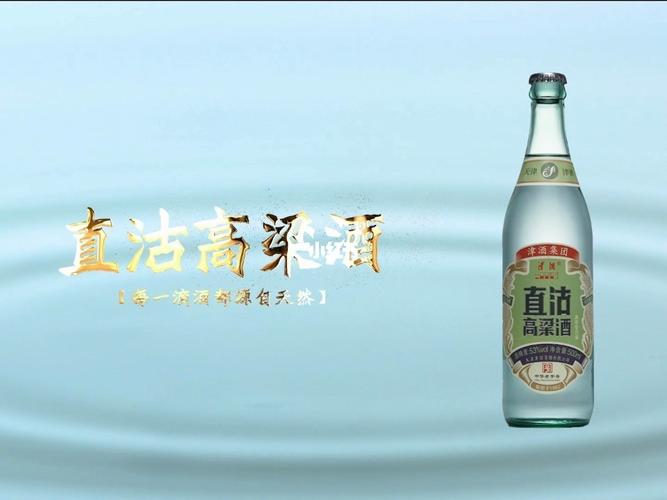 津酒直沽高粱酒全国空白区域招商_白酒_中国白酒_美食