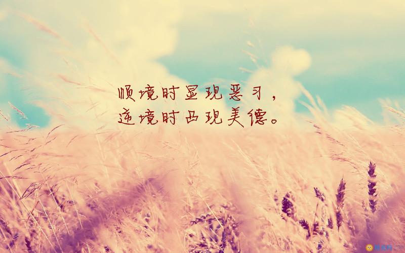 高清励志壁纸_励志桌面壁纸高清全屏