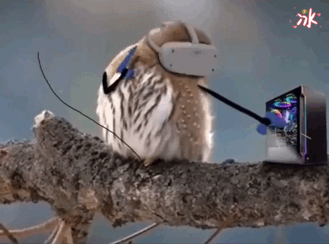 3月11日 1:53   关注  表情包 猫头鹰 评论 收藏