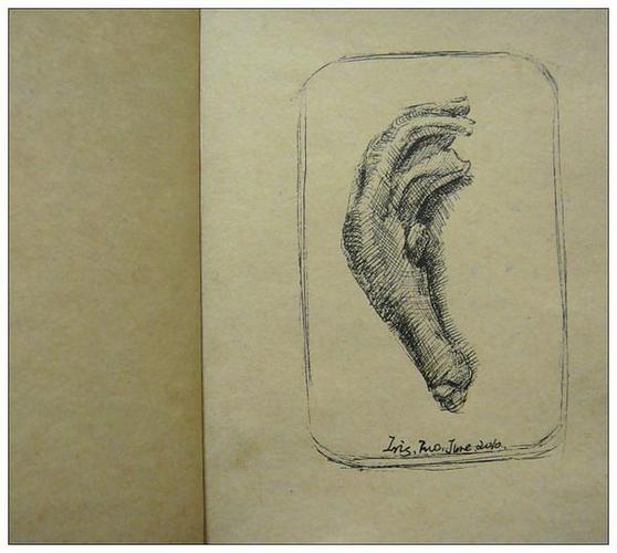 饭饭的相册-手绘本no2