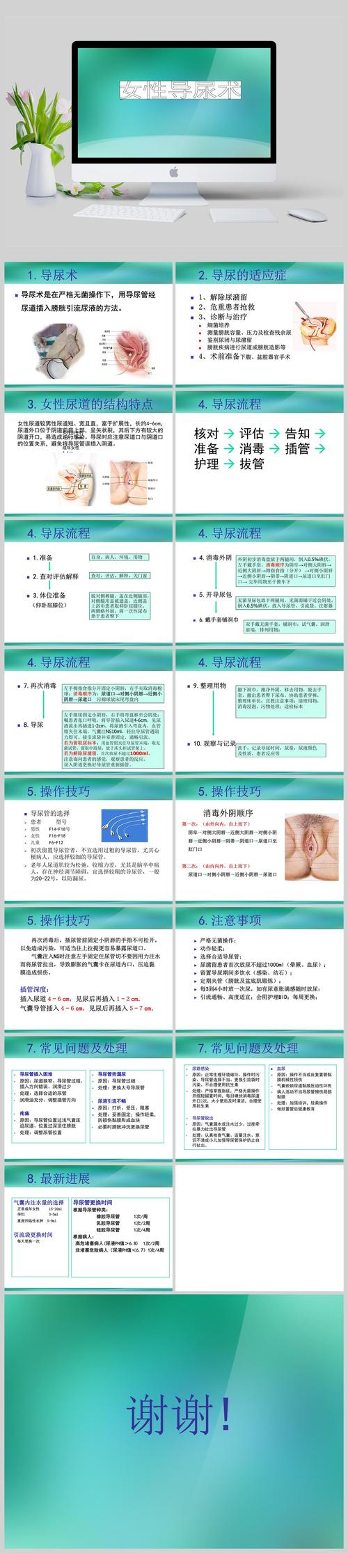 女性导尿ppt
