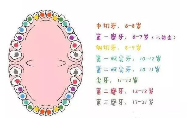 乳牙一去不复返,千万记得给恒牙留下"生长空间"
