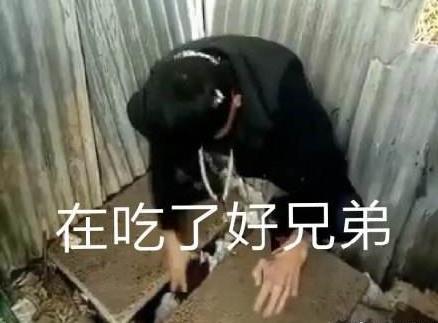 快手岛市老八吃粑粑快手老八吃粑粑的个人资料