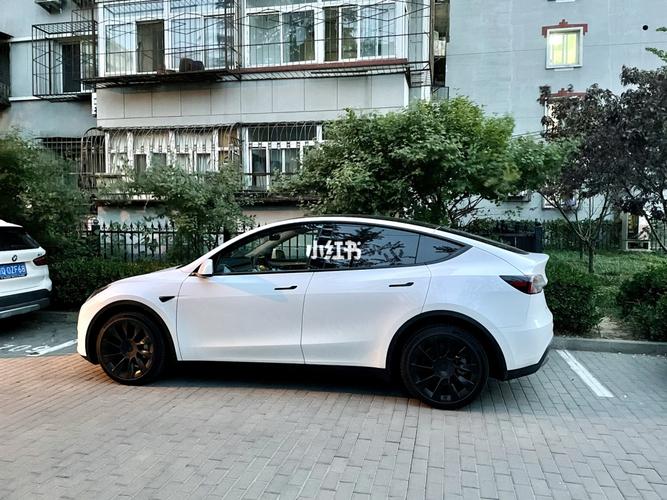 特斯拉model y提车啦,欢迎使用引荐码_提车_特斯拉怎么样_米其林_销售