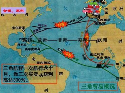 黑人遭到了灭顶之灾,尤其是东印度公司的存在以及黑三角贸易的发生,都