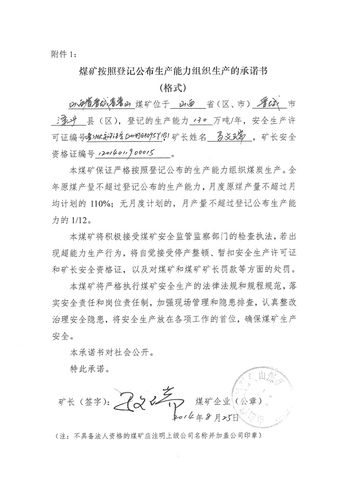 山西省晋普山煤矿生产承诺书
