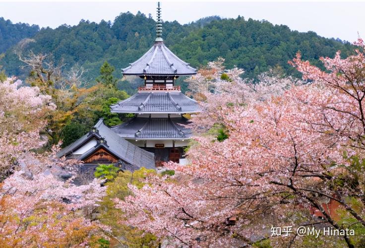 玩转日本自由行26奈良县