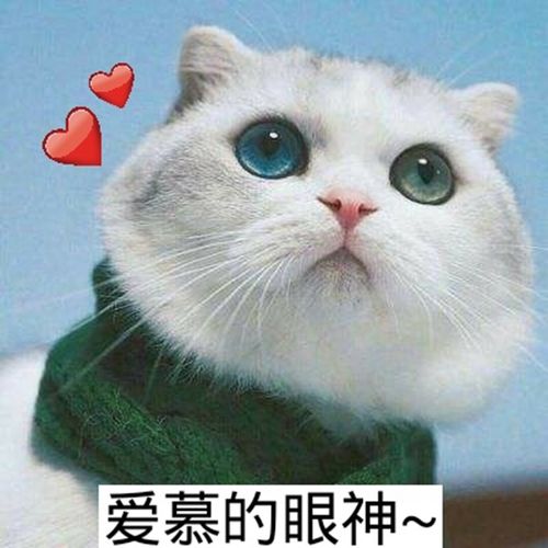 表情包:爱慕的眼神,真的很生气