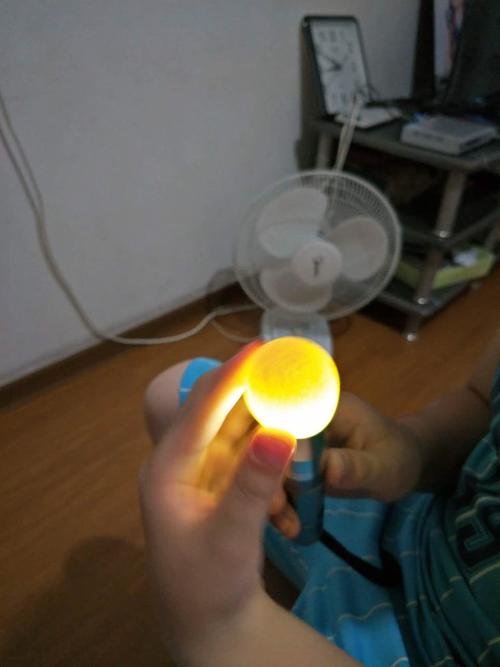 我让妈妈问客服,客服问我七天的时候有没有照蛋,我懵了,一直用电筒照