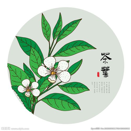 手绘茶叶设计图__广告设计_广告设计_设计图库_昵图网