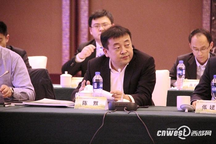 西咸新区党工委委员,总规划师陈默发表讲话