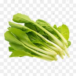 小白菜图片-小白菜图片素材免费下载-千库网
