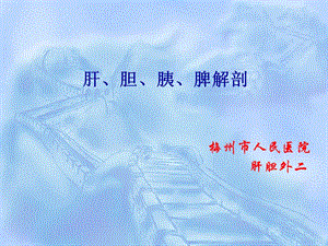 肝胆胰脾解剖.ppt