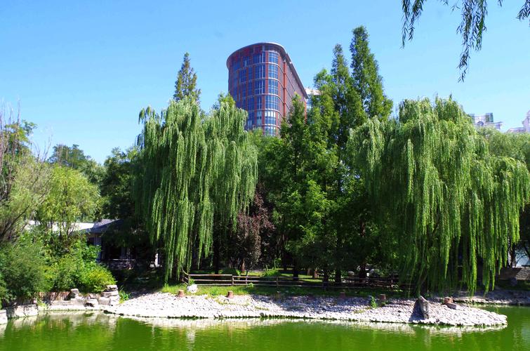 著名书法大师刘海粟先生为公园题名—丽都花园. 