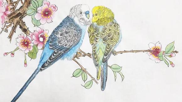 国画工笔鹦鹉(3)完,花分染树枝树叶分染罩染