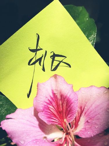 桃||字素||橡皮章素材||来自微博@零雨其蒙… - 堆糖,美图壁纸兴趣