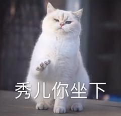 秀儿表情包素材搞笑图片表情
