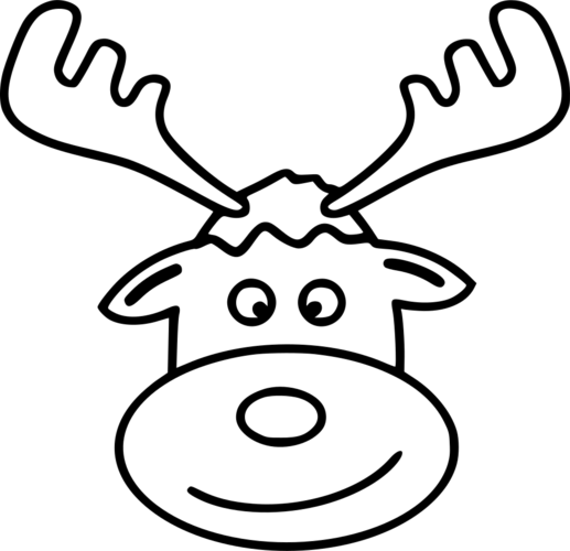 reindeer怎么读的