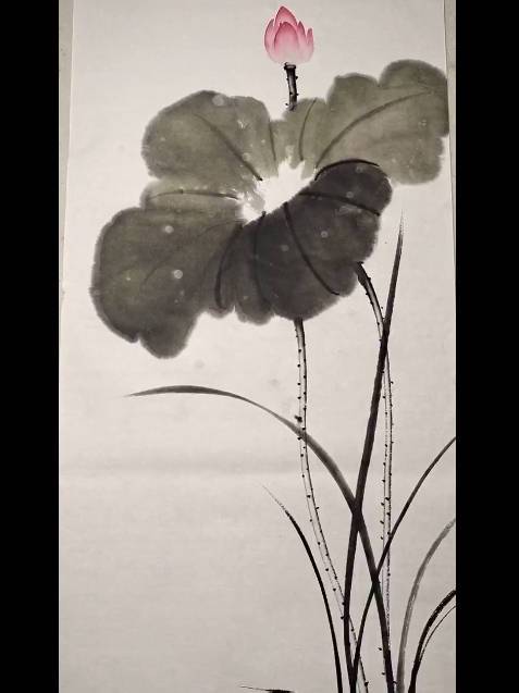 赵习恒老师教你一看就会的莲花荷叶