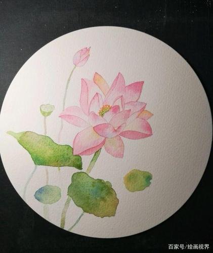 荷花怎么画?教你只用7步,画荷花原来很简单,收藏起来