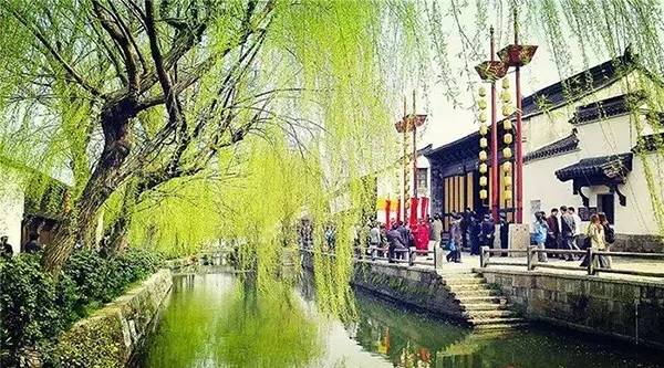 最忌讳的是门前栽桑, 院中植杨,屋后种柳.