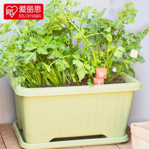 长方形种菜盆大号庭院蔬菜种植塑料花盆阳台加厚家庭种菜室内养花